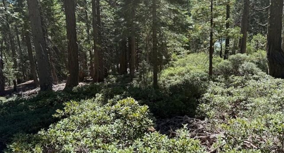 2780 Cedarview Ct, Strawberry Valley, CA 95981 Photo