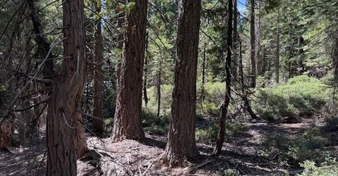 2780 Cedarview Ct, Strawberry Valley, CA 95981 Photo