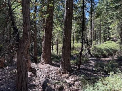 2780 Cedarview Ct, Strawberry Valley, CA 95981 Photo