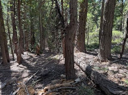 2780 Cedarview Ct, Strawberry Valley, CA 95981 Photo