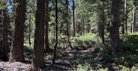 2780 Cedarview Ct, Strawberry Valley, CA 95981 Photo