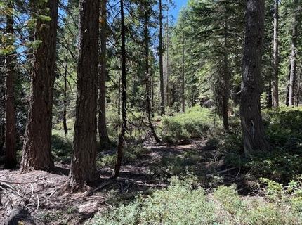 2780 Cedarview Ct, Strawberry Valley, CA 95981 Photo