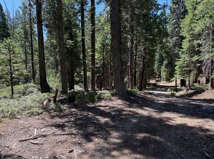 2780 Cedarview Ct, Strawberry Valley, CA 95981 Photo