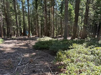 2780 Cedarview Ct, Strawberry Valley, CA 95981 Photo