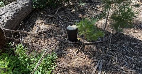 2780 Cedarview Ct, Strawberry Valley, CA 95981 Photo