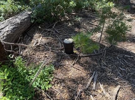 2780 Cedarview Ct, Strawberry Valley, CA 95981 Photo