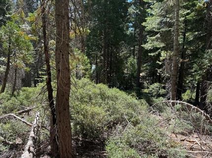 2780 Cedarview Ct, Strawberry Valley, CA 95981 Photo