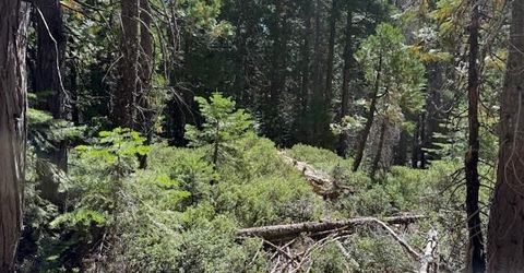 2780 Cedarview Ct, Strawberry Valley, CA 95981 Photo