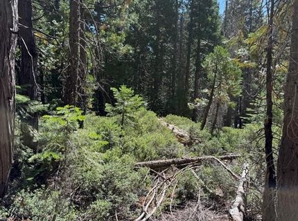 2780 Cedarview Ct, Strawberry Valley, CA 95981 Photo