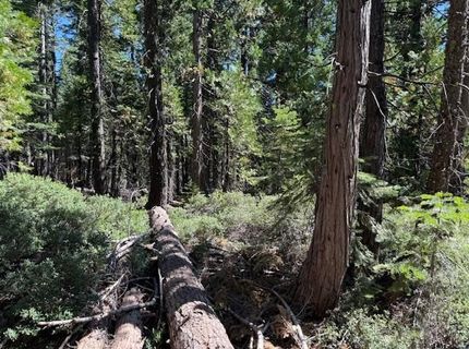 2780 Cedarview Ct, Strawberry Valley, CA 95981 Photo