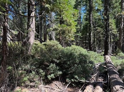 2780 Cedarview Ct, Strawberry Valley, CA 95981 Photo