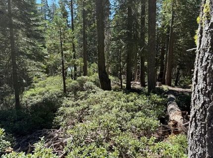 2780 Cedarview Ct, Strawberry Valley, CA 95981 Photo