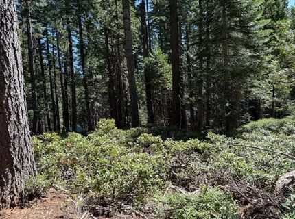 2780 Cedarview Ct, Strawberry Valley, CA 95981 Photo