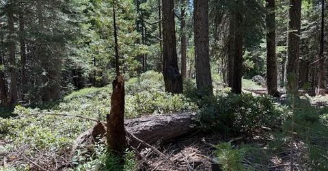 2780 Cedarview Ct, Strawberry Valley, CA 95981 Photo