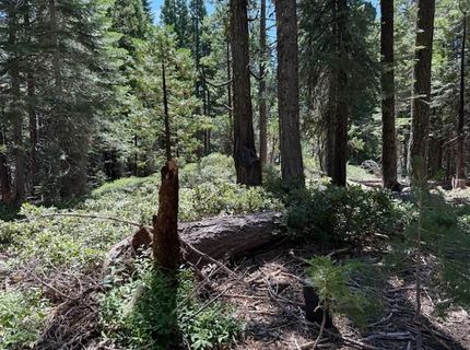 2780 Cedarview Ct, Strawberry Valley, CA 95981 Photo