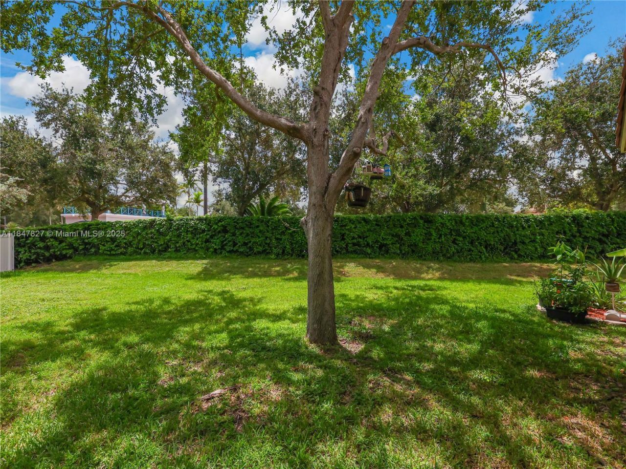 3910 NE 10th Dr, Homestead, FL 33033 Photo