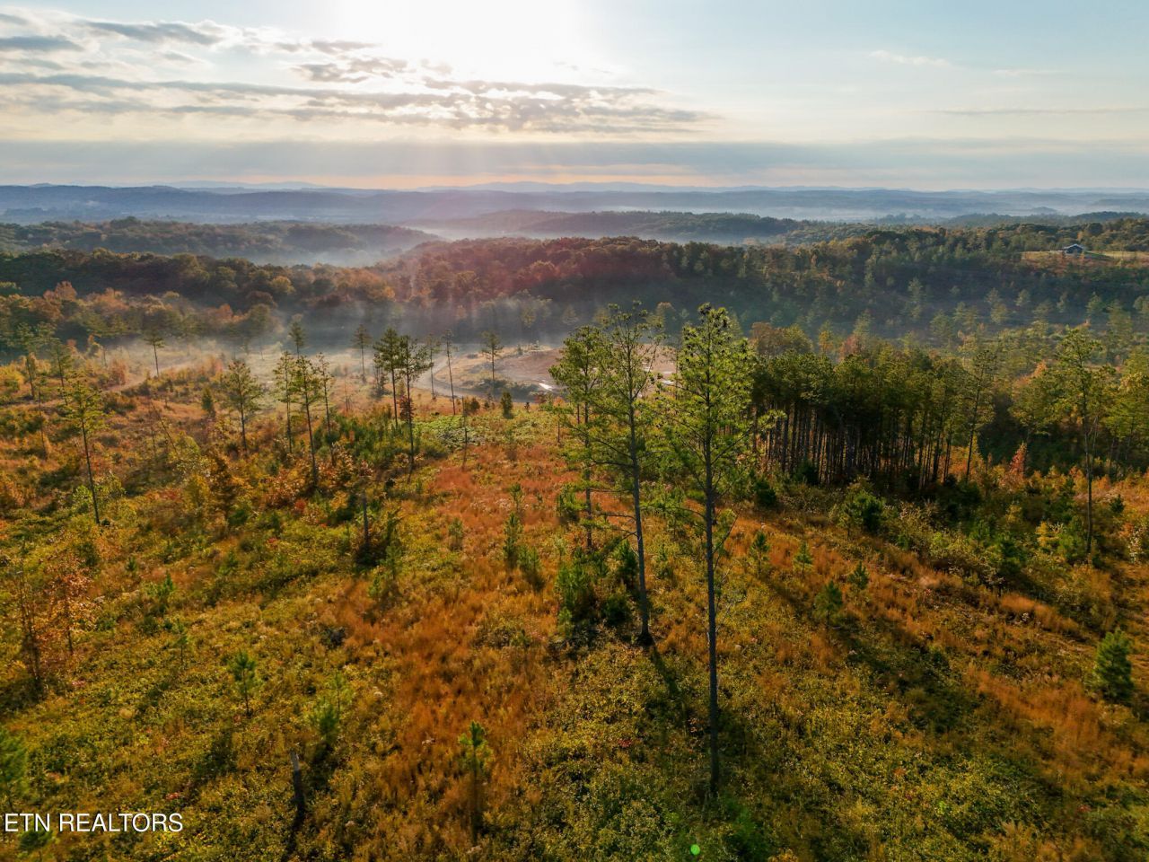 980 Wasson Rd, Ten Mile, TN 37880 Main Photo