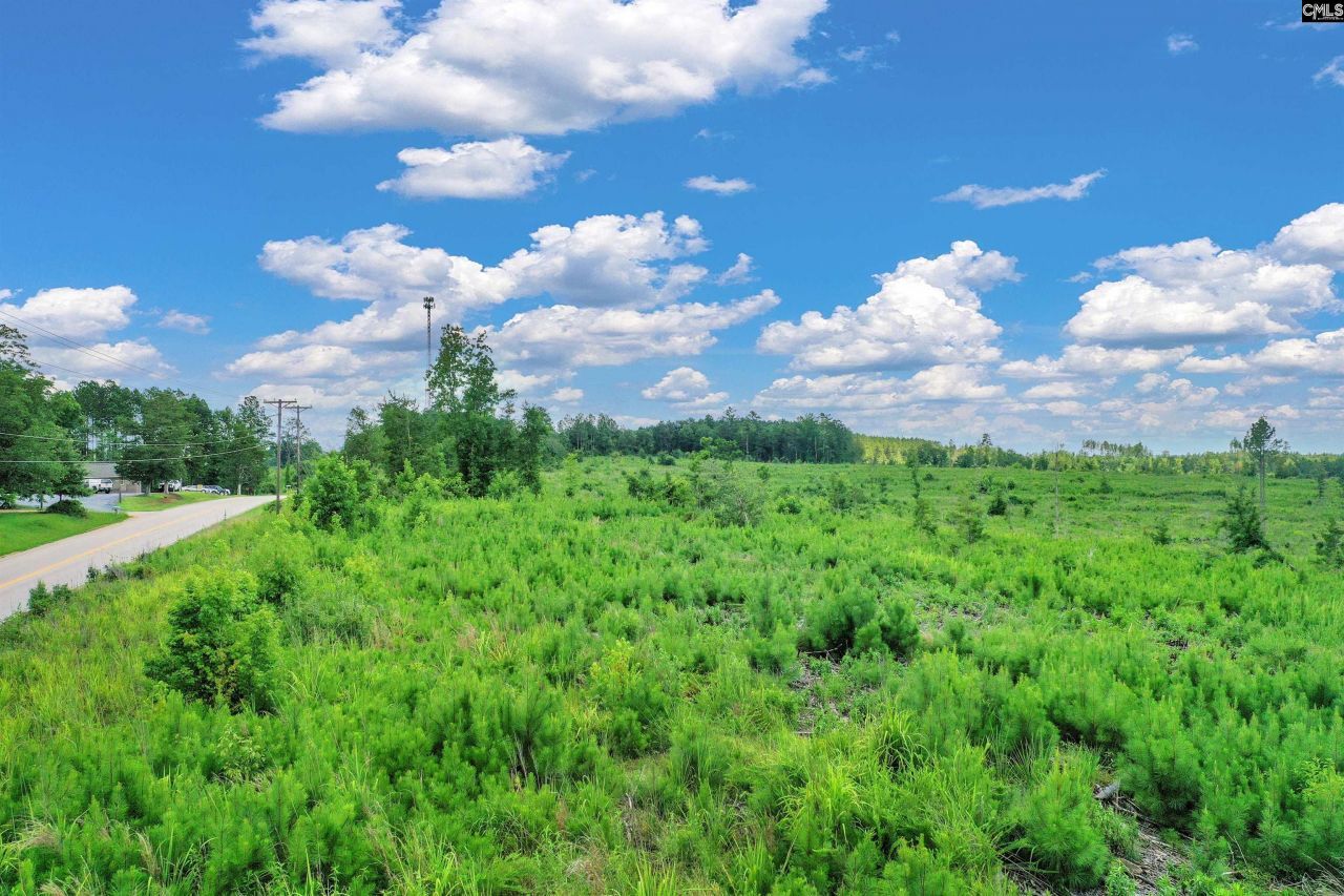 0000 Hwy 215 Photo 23