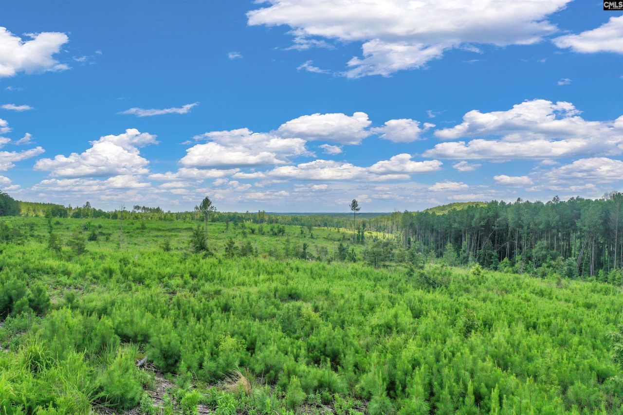 0000 Hwy 215 Photo 24