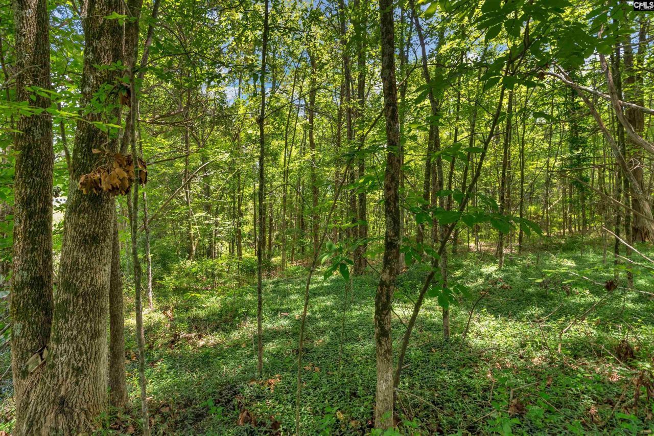 0000 Hwy 215 Photo 38