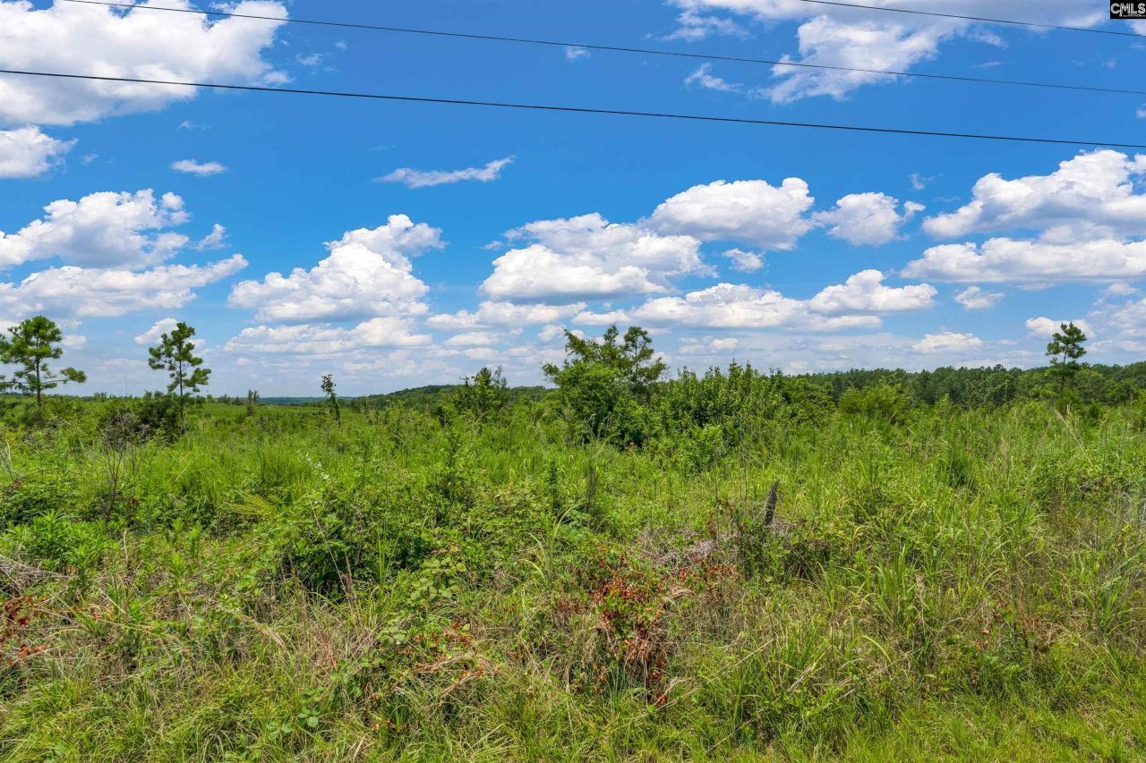 0000 Hwy 215 Photo 41