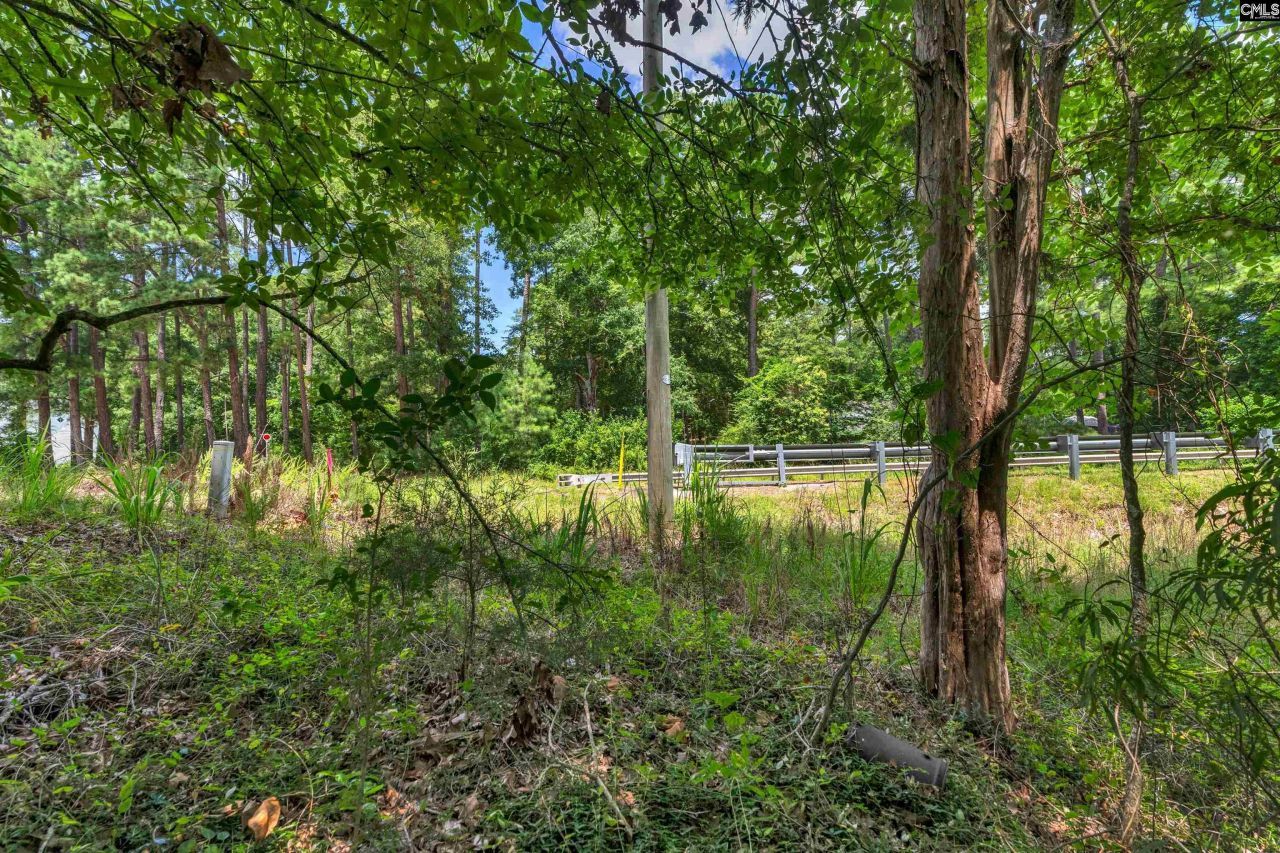 0000 Hwy 215 Photo 6