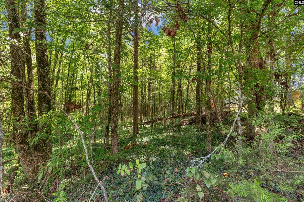 0000 Hwy 215 Photo 7