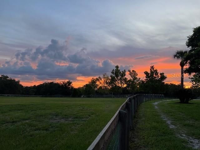 23210 Brouwertown Road, Howey in the Hills, FL 34737 Photo