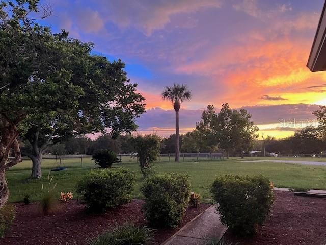 23210 Brouwertown Road, Howey in the Hills, FL 34737 Photo