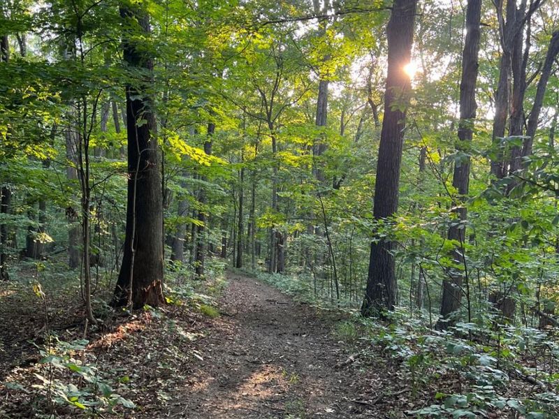 0 Tabernacle, Chillicothe, OH 45601 Photo 10