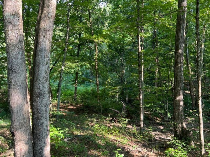 0 Tabernacle, Chillicothe, OH 45601 Photo 16