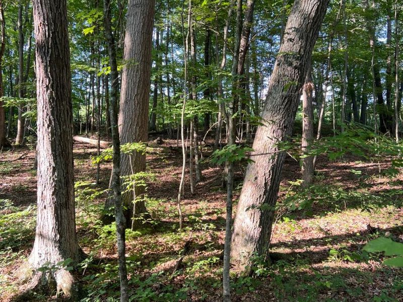 0 Tabernacle, Chillicothe, OH 45601 Photo 17