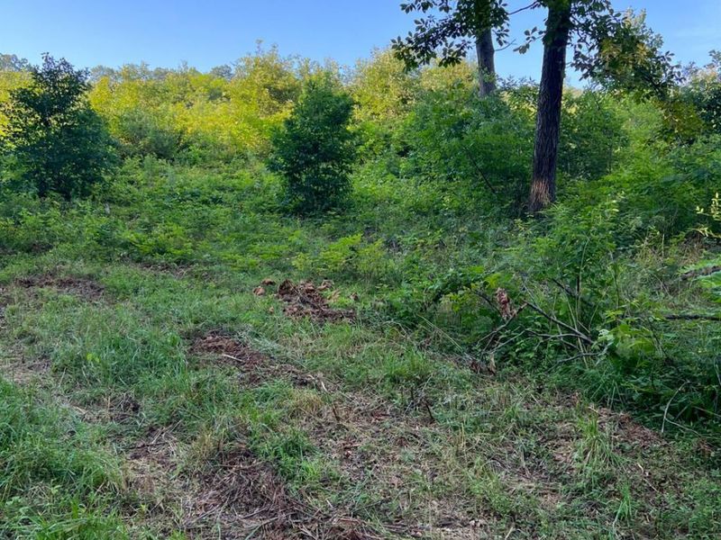 0 Tabernacle, Chillicothe, OH 45601 Photo 21