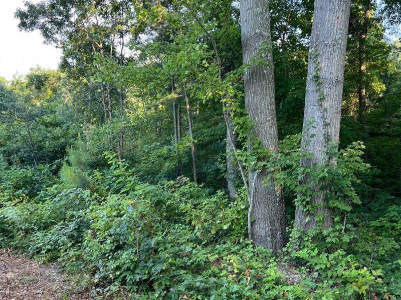 0 Tabernacle, Chillicothe, OH 45601 Photo 26