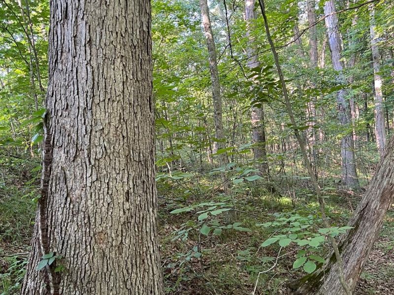 0 Tabernacle, Chillicothe, OH 45601 Photo 3