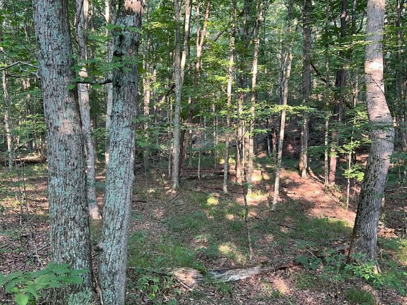 0 Tabernacle, Chillicothe, OH 45601 Photo 33