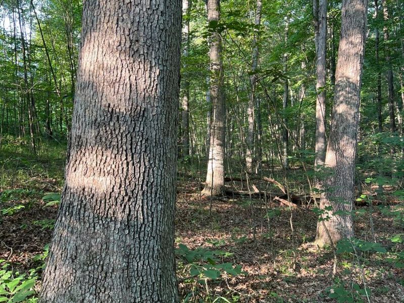 0 Tabernacle, Chillicothe, OH 45601 Photo 34