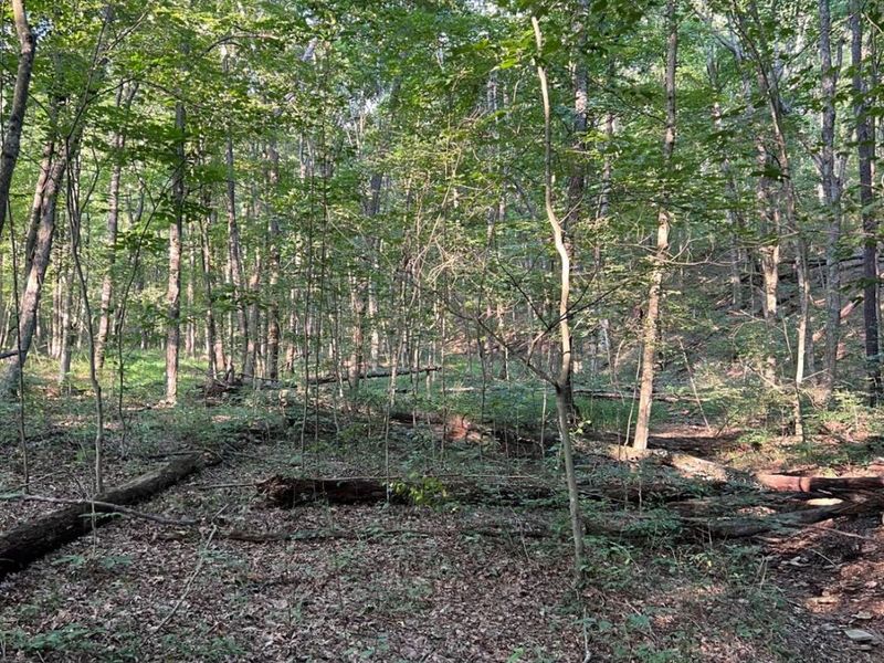 0 Tabernacle, Chillicothe, OH 45601 Photo 36