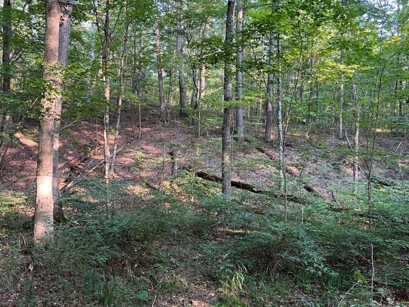 0 Tabernacle, Chillicothe, OH 45601 Photo 37