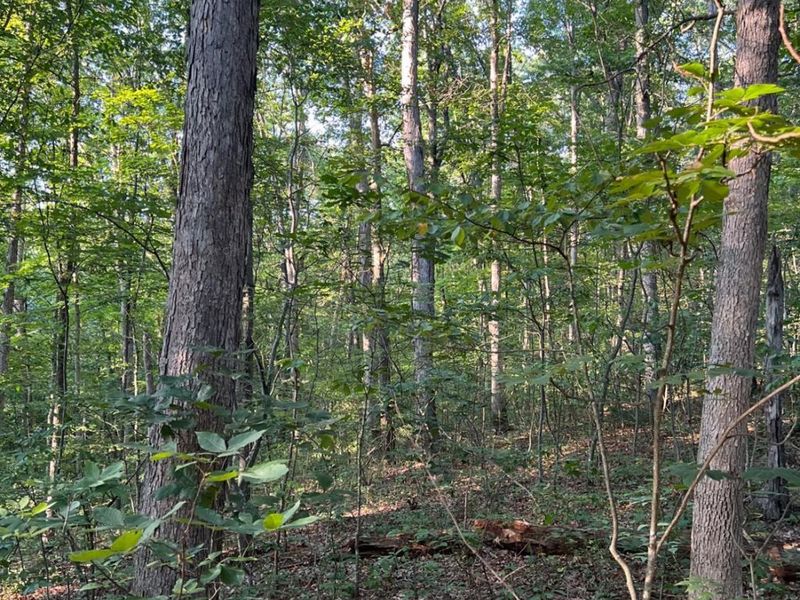 0 Tabernacle, Chillicothe, OH 45601 Photo 39