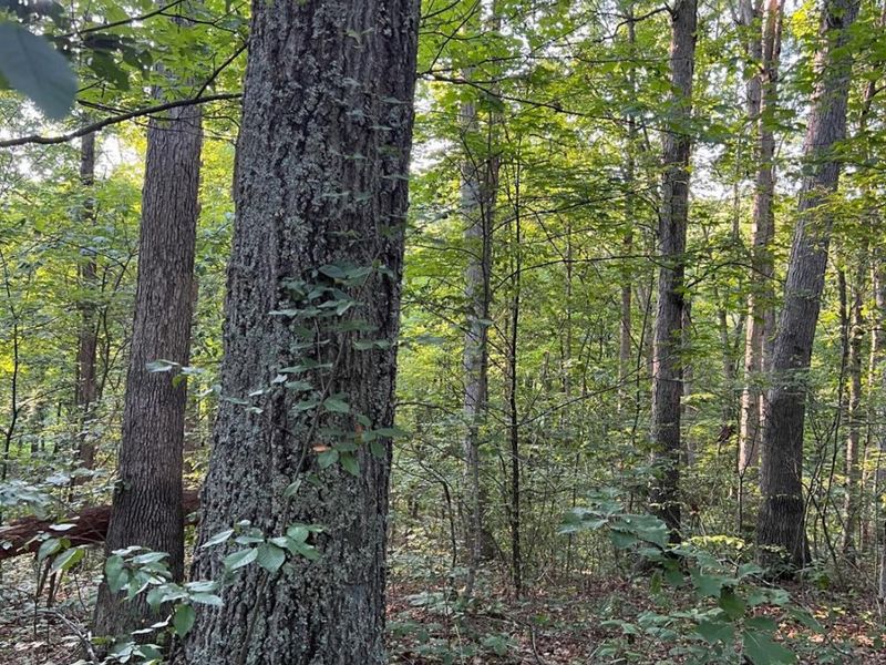 0 Tabernacle, Chillicothe, OH 45601 Photo 41