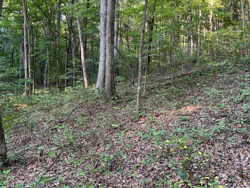 0 Tabernacle, Chillicothe, OH 45601 Photo 46