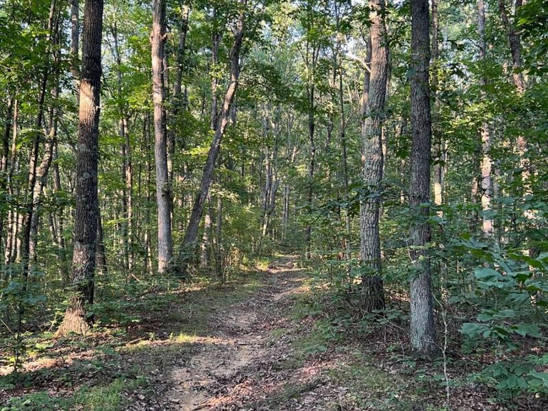 0 Tabernacle, Chillicothe, OH 45601 Photo 49