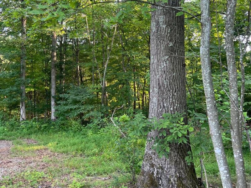 0 Tabernacle, Chillicothe, OH 45601 Photo 5