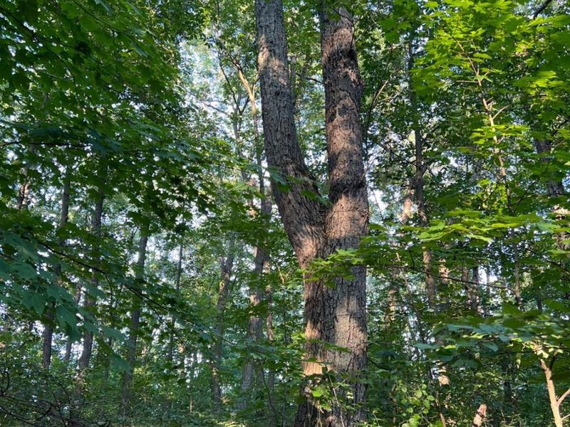 0 Tabernacle, Chillicothe, OH 45601 Photo 50