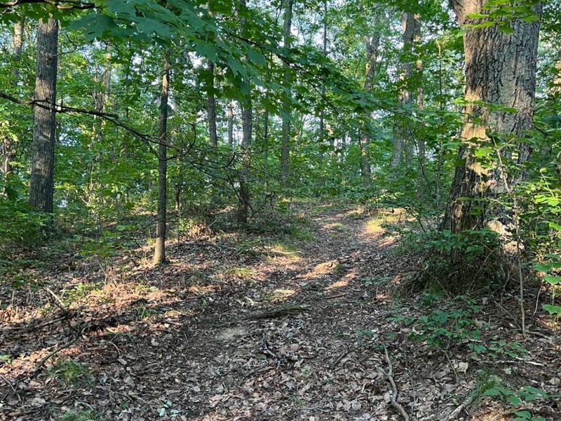 0 Tabernacle, Chillicothe, OH 45601 Photo 51