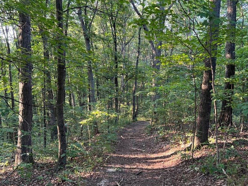 0 Tabernacle, Chillicothe, OH 45601 Photo 52