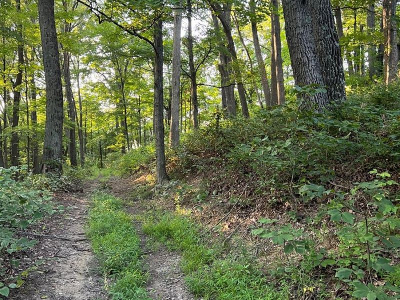 0 Tabernacle, Chillicothe, OH 45601 Photo 53