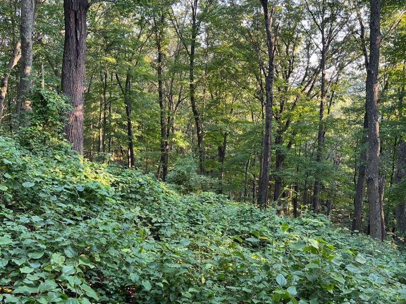 0 Tabernacle, Chillicothe, OH 45601 Photo 54