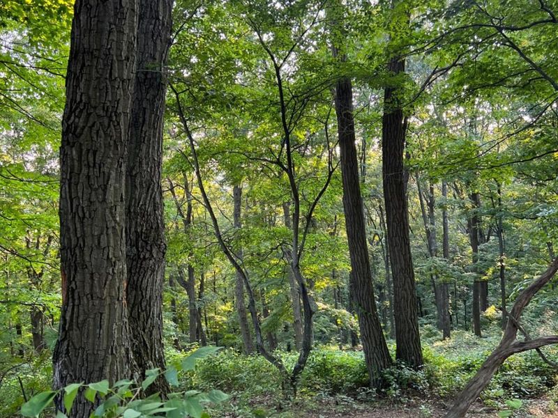 0 Tabernacle, Chillicothe, OH 45601 Photo 55